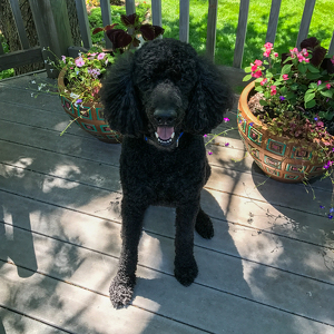 Fundraising Page: Mari Lane Gewecke